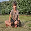 Chiens 26