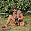 Chiens 47