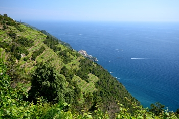 2018_06_17_Cinque-Terre_Riomaggiore__Vernazza_002_D610--10-24__CNX-D