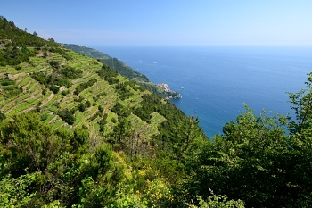 2018_06_17_Cinque-Terre_Riomaggiore__Vernazza_005_D610--10-24__CNX-D