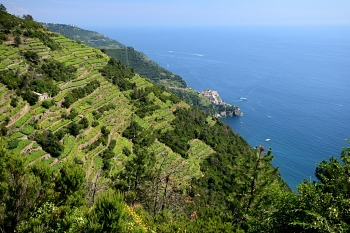 2018_06_17_Cinque-Terre_Riomaggiore__Vernazza_007_D610--10-24__CNX-D