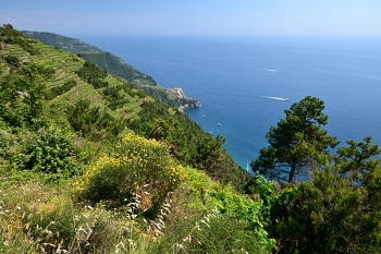 2018_06_17_Cinque-Terre_Riomaggiore__Vernazza_011_D610--10-24__CNX-D