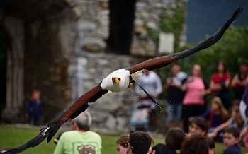 2014_08_12_Donjon_Des_Aigles_006_D610--28-300__CNX-D