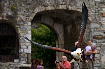 2014_08_12_Donjon_Des_Aigles_008_D610--28-300__CNX-D
