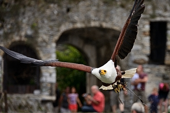 2014_08_12_Donjon_Des_Aigles_010_D610--28-300__CNX-D