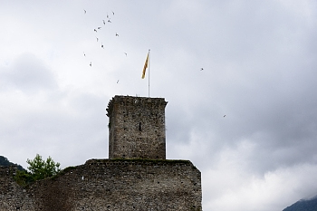 2014_08_12_Donjon_Des_Aigles_049_D610--28-300__CNX-D