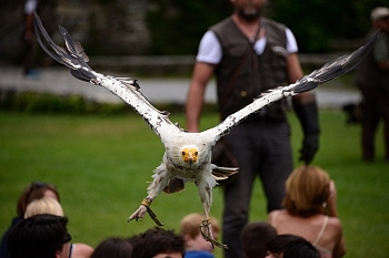 2014_08_12_Donjon_Des_Aigles_056_D610--28-300__CNX-D