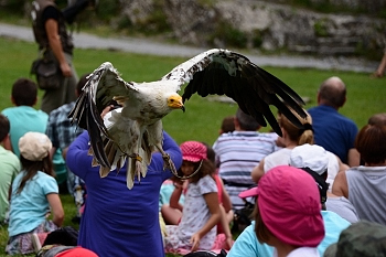 2014_08_12_Donjon_Des_Aigles_060_D610--28-300__CNX-D