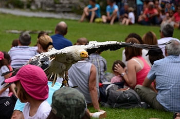 2014_08_12_Donjon_Des_Aigles_061_D610--28-300__CNX-D