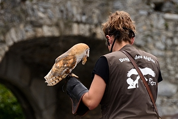 2014_08_12_Donjon_Des_Aigles_095_D610--28-300__CNX-D
