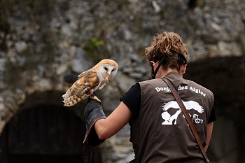 2014_08_12_Donjon_Des_Aigles_096_D610--28-300__CNX-D