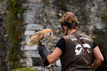2014_08_12_Donjon_Des_Aigles_097_D610--28-300__CNX-D