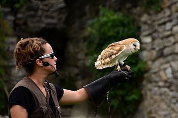 2014_08_12_Donjon_Des_Aigles_098_D610--28-300__CNX-D