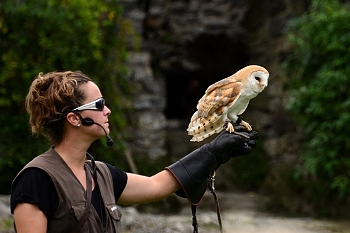 2014_08_12_Donjon_Des_Aigles_099_D610--28-300__CNX-D