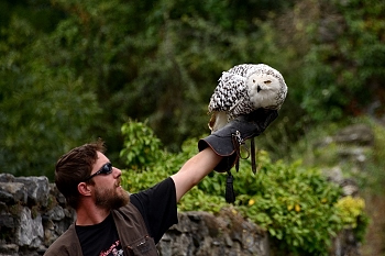 2014_08_12_Donjon_Des_Aigles_119_D610--28-300__CNX-D