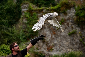 2014_08_12_Donjon_Des_Aigles_120_D610--28-300__CNX-D