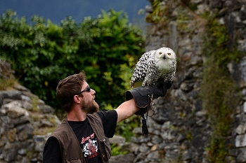 2014_08_12_Donjon_Des_Aigles_125_D610--28-300__CNX-D