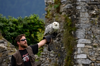 2014_08_12_Donjon_Des_Aigles_127_D610--28-300__CNX-D