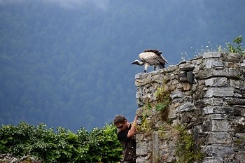 2014_08_12_Donjon_Des_Aigles_149_D610--28-300__CNX-D