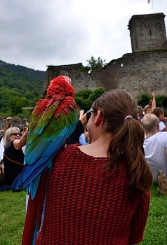 2014_08_12_Donjon_Des_Aigles_207_D610--28-300__CNX-D