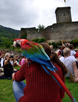 2014_08_12_Donjon_Des_Aigles_210_D610--28-300__CNX-D