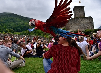 2014_08_12_Donjon_Des_Aigles_211_D610--28-300__CNX-D