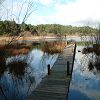 02/02/2003 : Lac de Cazaux 3