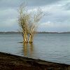 02/02/2003 : Lac de Cazaux 5