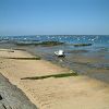 22/05/2003 : B�lisaire et Cap Ferret 4