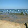 22/05/2003 : B�lisaire et Cap Ferret 5