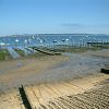 22/05/2003 : B�lisaire et Cap Ferret 6