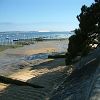 22/05/2003 : B�lisaire et Cap Ferret 8