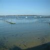 22/05/2003 : B�lisaire et Cap Ferret 12