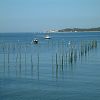 22/05/2003 : B�lisaire et Cap Ferret 15