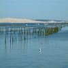 22/05/2003 : B�lisaire et Cap Ferret 16