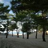25/12/2003 : Sud de la Dune du Pyla 4