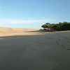 25/12/2003 : Sud de la Dune du Pyla 6