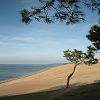 25/12/2003 : Sud de la Dune du Pyla 7