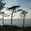 25/12/2003 : Sud de la Dune du Pyla 12