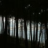 25/12/2003 : Sud de la Dune du Pyla 14