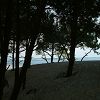 25/12/2003 : Sud de la Dune du Pyla 15