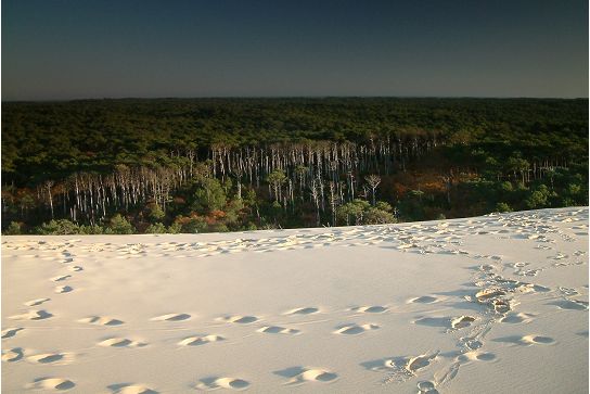 12/12/2004 : Dune du Pyla 25