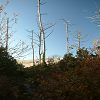 12/12/2004 : Dune du Pyla 6