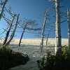 12/12/2004 : Dune du Pyla 8