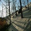12/12/2004 : Dune du Pyla 9