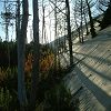 12/12/2004 : Dune du Pyla 10