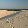 12/12/2004 : Dune du Pyla 15