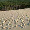 12/12/2004 : Dune du Pyla 19