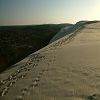12/12/2004 : Dune du Pyla 21