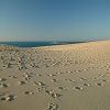 12/12/2004 : Dune du Pyla 23